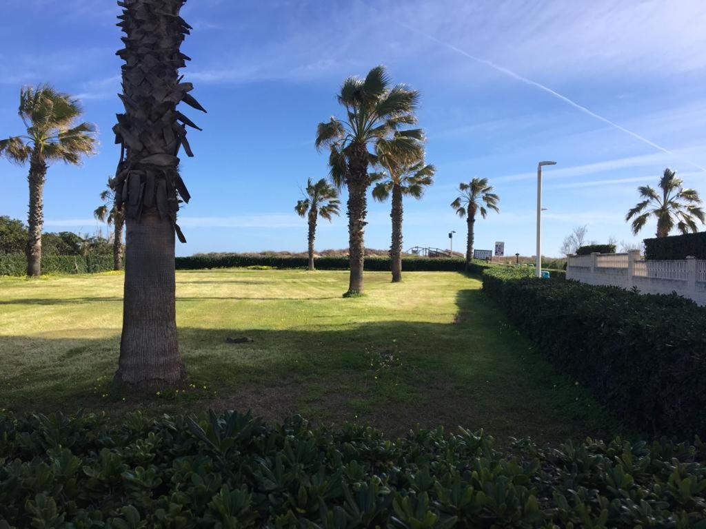 Apartamento A 100 Metros De La Playa Con Grande Terraza Y Vistas Al Mar Даймус Экстерьер фото